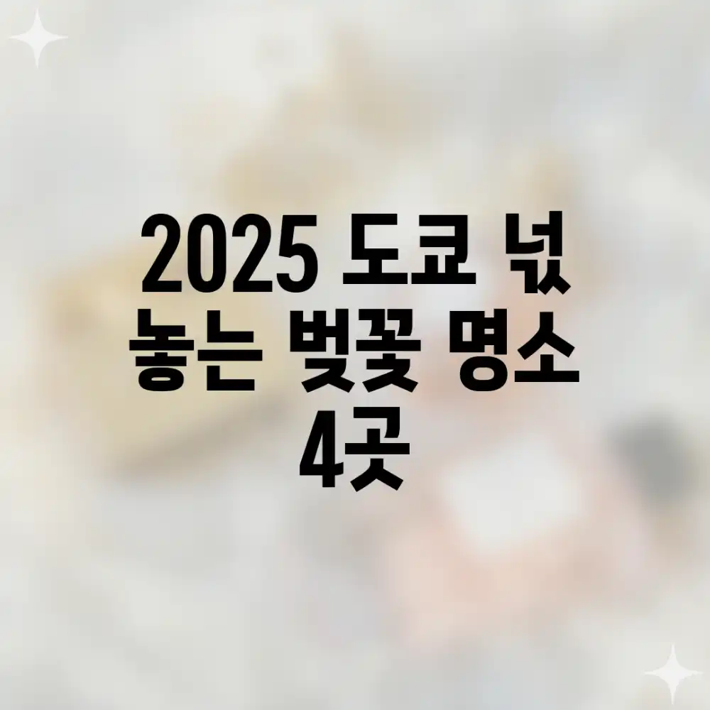 2025 도쿄, 넋 놓는 벚꽃 명소 4곳!