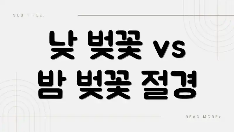 낮 벚꽃 vs 밤 벚꽃 절경