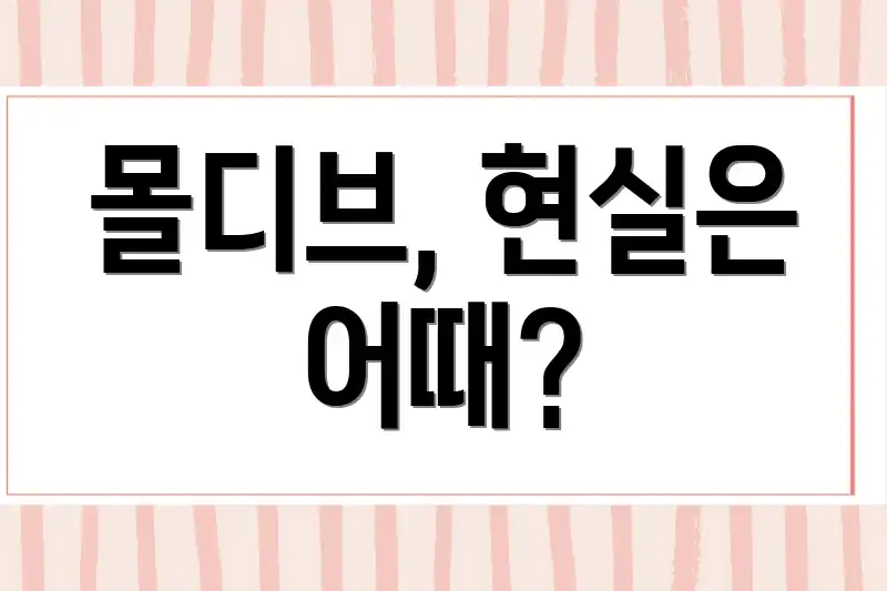 몰디브, 현실은 어때?