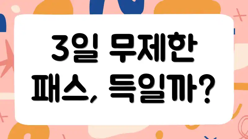 3일 무제한 패스, 득일까?