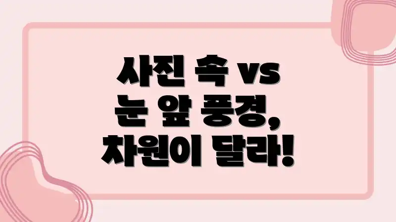 사진 속 vs 눈 앞 풍경, 차원이 달라!