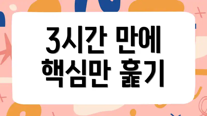 3시간 만에 핵심만 훑기