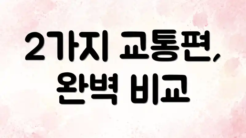 2가지 교통편, 완벽 비교