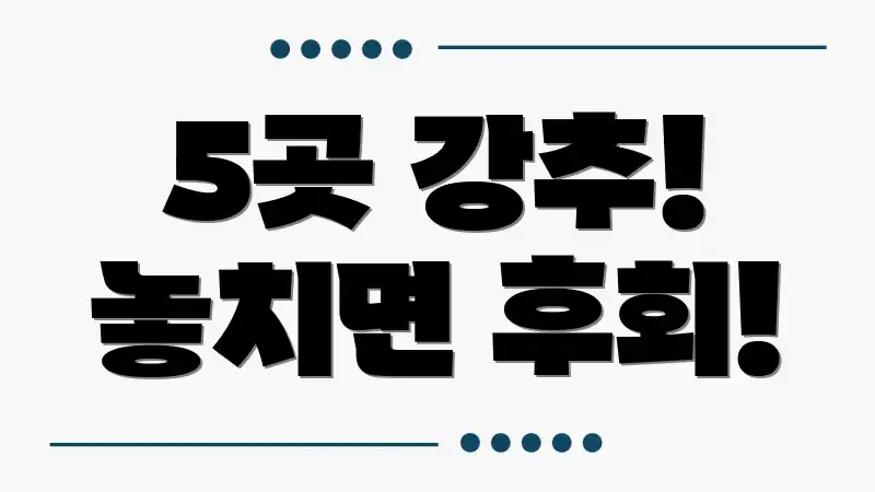 5곳 강추! 놓치면 후회!