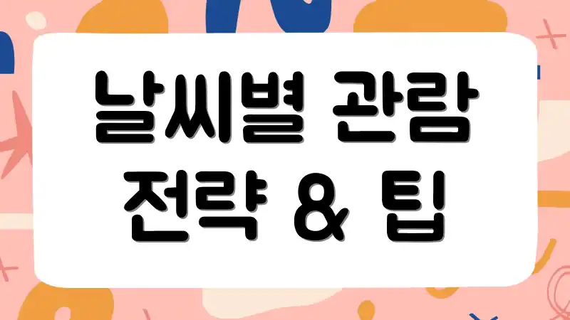 날씨별 관람 전략 & 팁