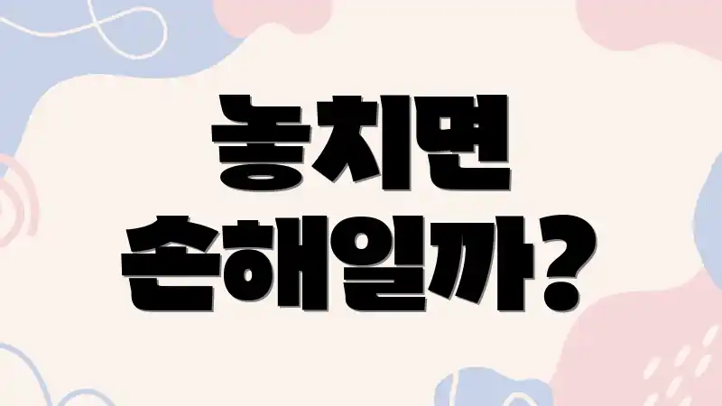 놓치면 손해일까?