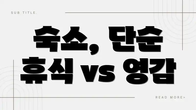 숙소, 단순 휴식 vs 영감
