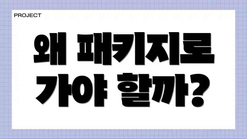 왜 패키지로 가야 할까?