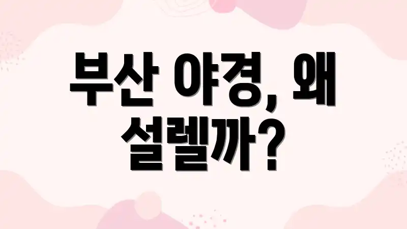 부산 야경, 왜 설렐까?