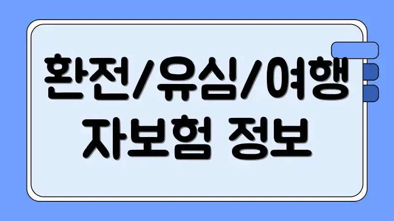 환전/유심/여행자보험 정보