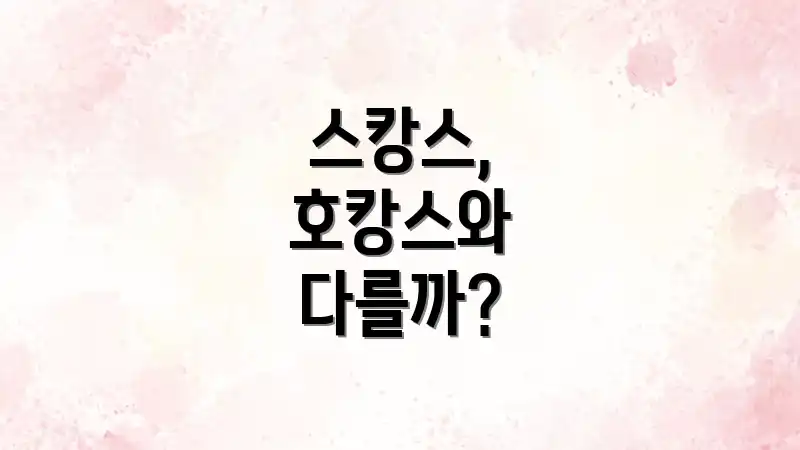 스캉스, 호캉스와 다를까?