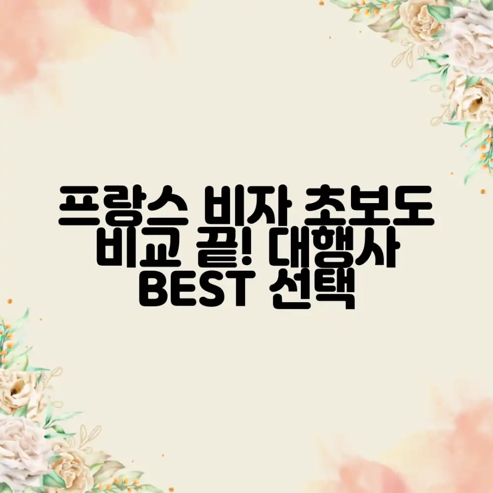 프랑스 비자 대행, 여행 초보도 쉽게 비교!