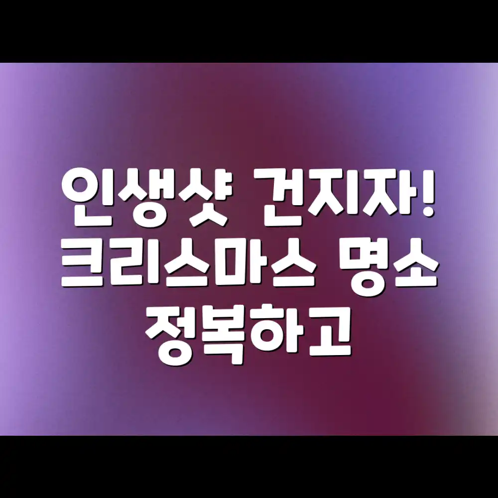 누구나 인생샷! 크리스마스 사진 명소 정복 🎄